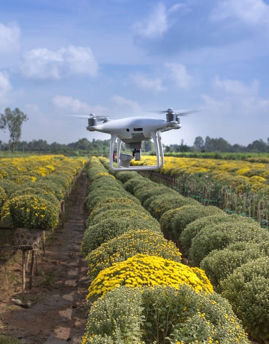 Altitude Drone Solutions Cinematography