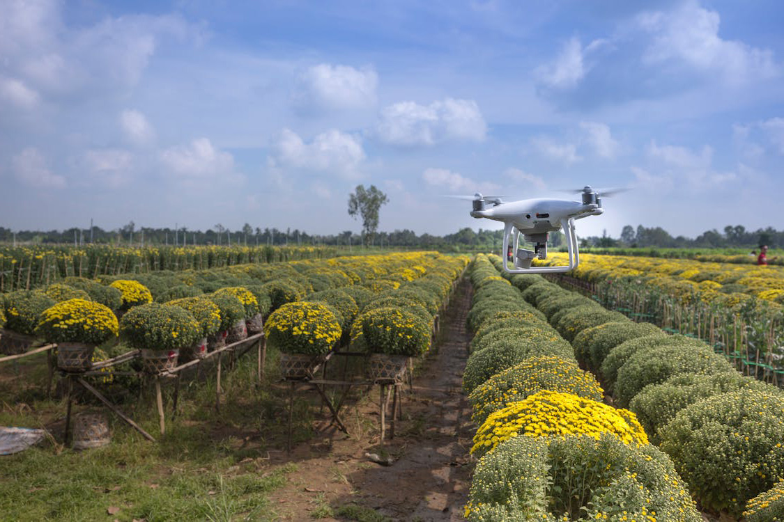 Drone inspection services